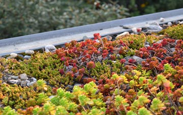 the cost of Tandlehill green roof installation