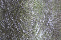 Tandlehill fibreglass roof work